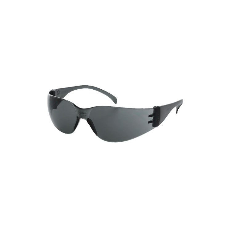 Dark Safety Glasses SG002D